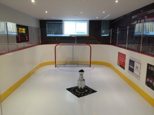 A basement hockey rink with synthetic ice and boards