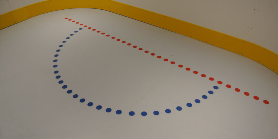 synthetic ice goal crease