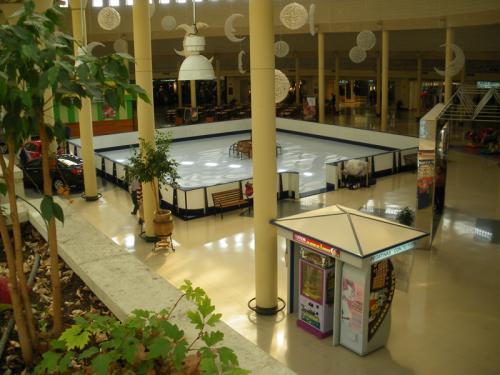 Shopping Mall Synthetic Ice Rental