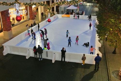 Synthetic Community Rink