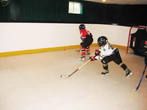 Home Synthetic Ice Rink Hockey Practise 
