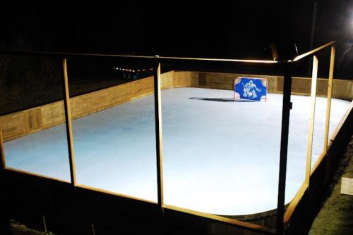 Backyard Synthetic Ice Rink