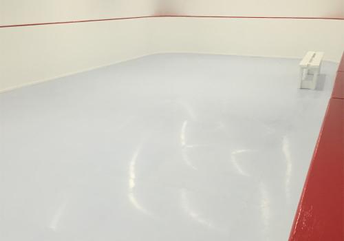 Basement Synthetic Rink for Figure Skating