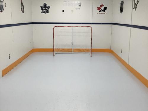 home basement synthetic ice shooting rink