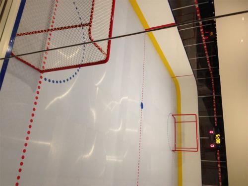 synthetic ice rink in dream home