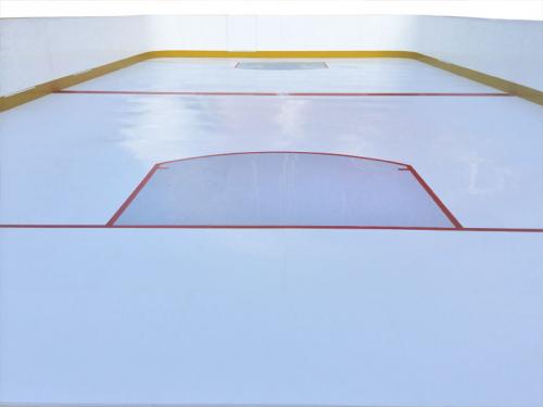 Outdoors Synthetic Ice Rink