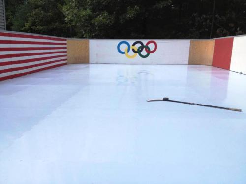 Synthetic ice rink