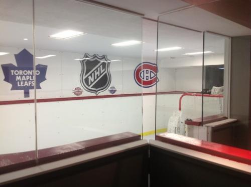 basement synthetic hockey rink in ontario